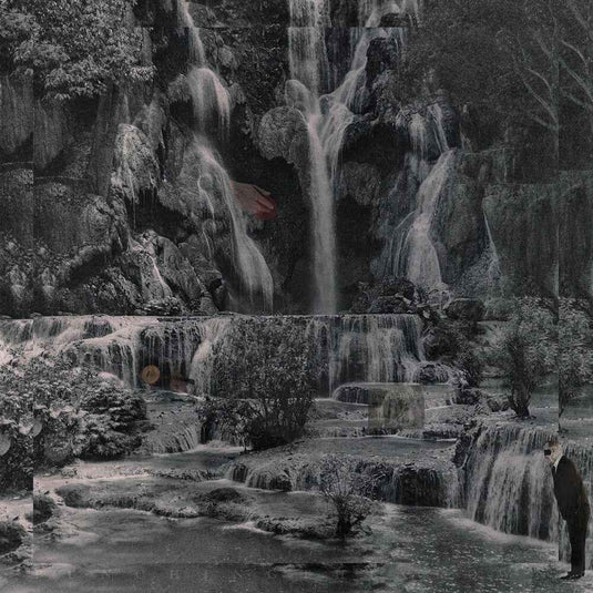 the album cover for Lambchop - Punching the Clown (frosted Clear Vinyl) (i)