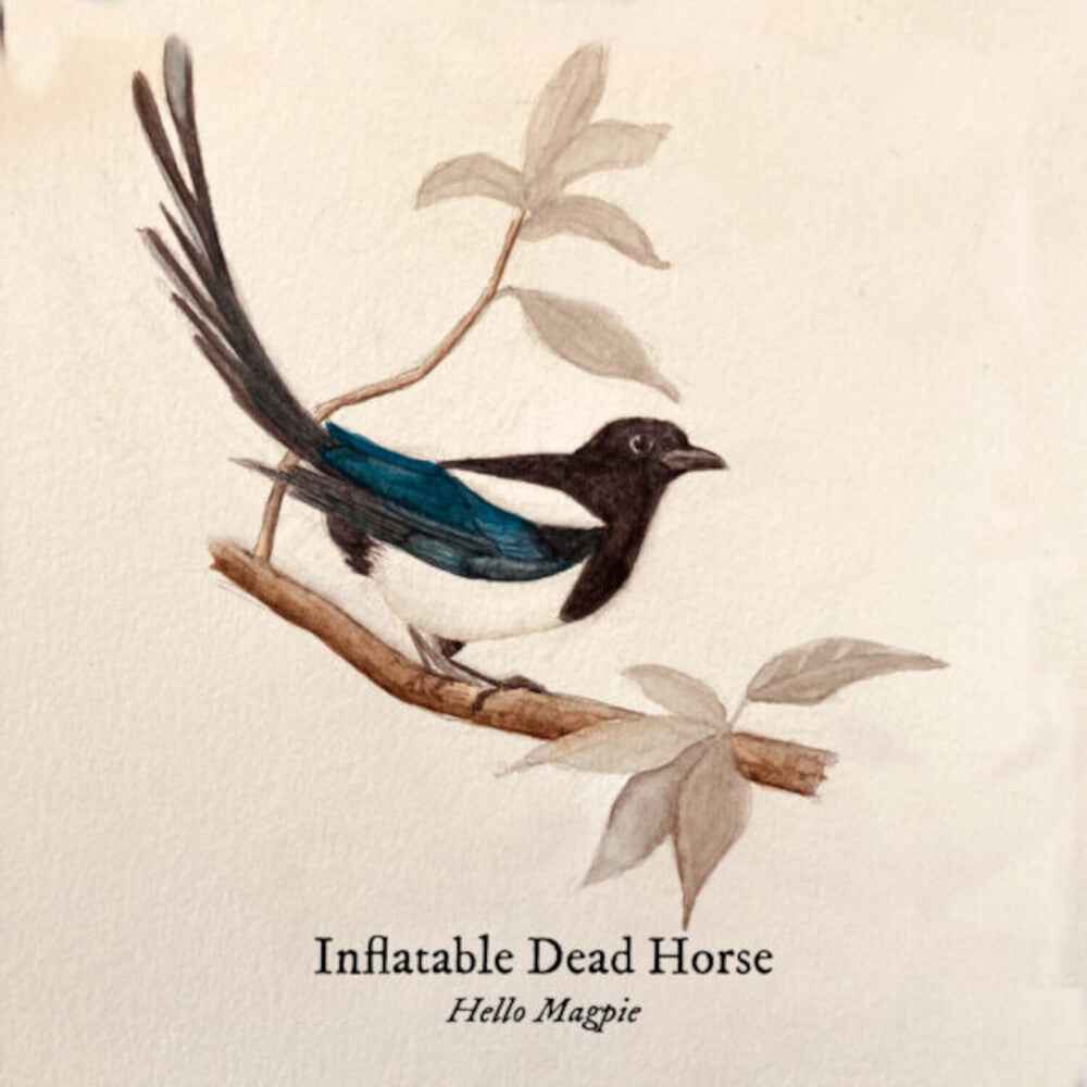 the album cover for Inflatable Dead Horse - Hello Magpie