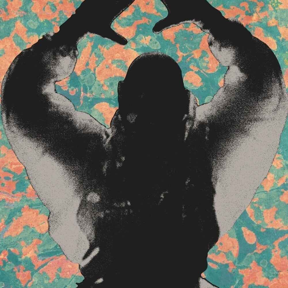 the album cover for Startled Insects - Antenna Years