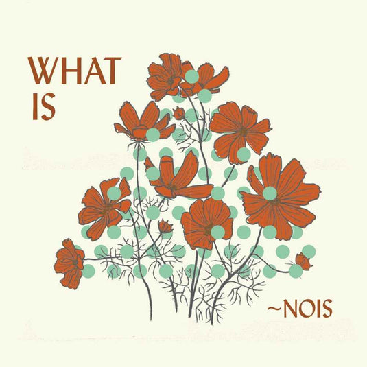 the album cover for Nois - What Is Nois