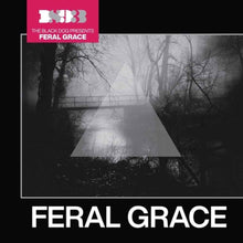 the album cover for Black Dog - Feral Grace
