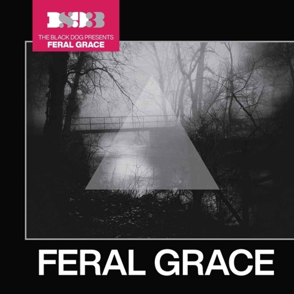 the album cover for Black Dog - Feral Grace