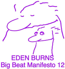 the album cover for Eden Burns - Big Beat Manifesto Vol. Xii