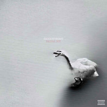 the album cover for Goosebytheway - Nature Boy [White]