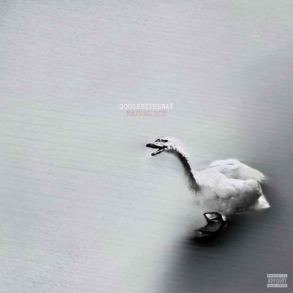 the album cover for Goosebytheway - Nature Boy [White]