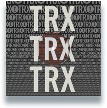 the album cover for Various Artists - Toolroom Trax Sampler Vol. 4