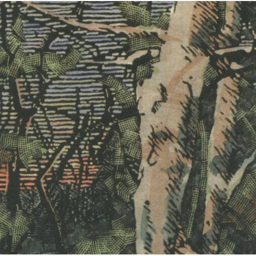 Anomoanon - Asleep Many Years in the Wood [CD]