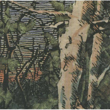 Anomoanon - Asleep Many Years in the Wood [CD]