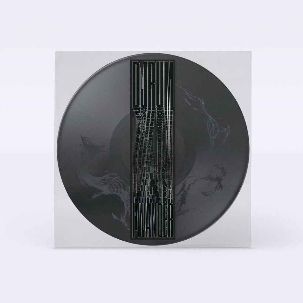 the album cover for Djrum - I Wander [Picture Disc]