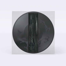 the album cover for Djrum - I Wander [Picture Disc]
