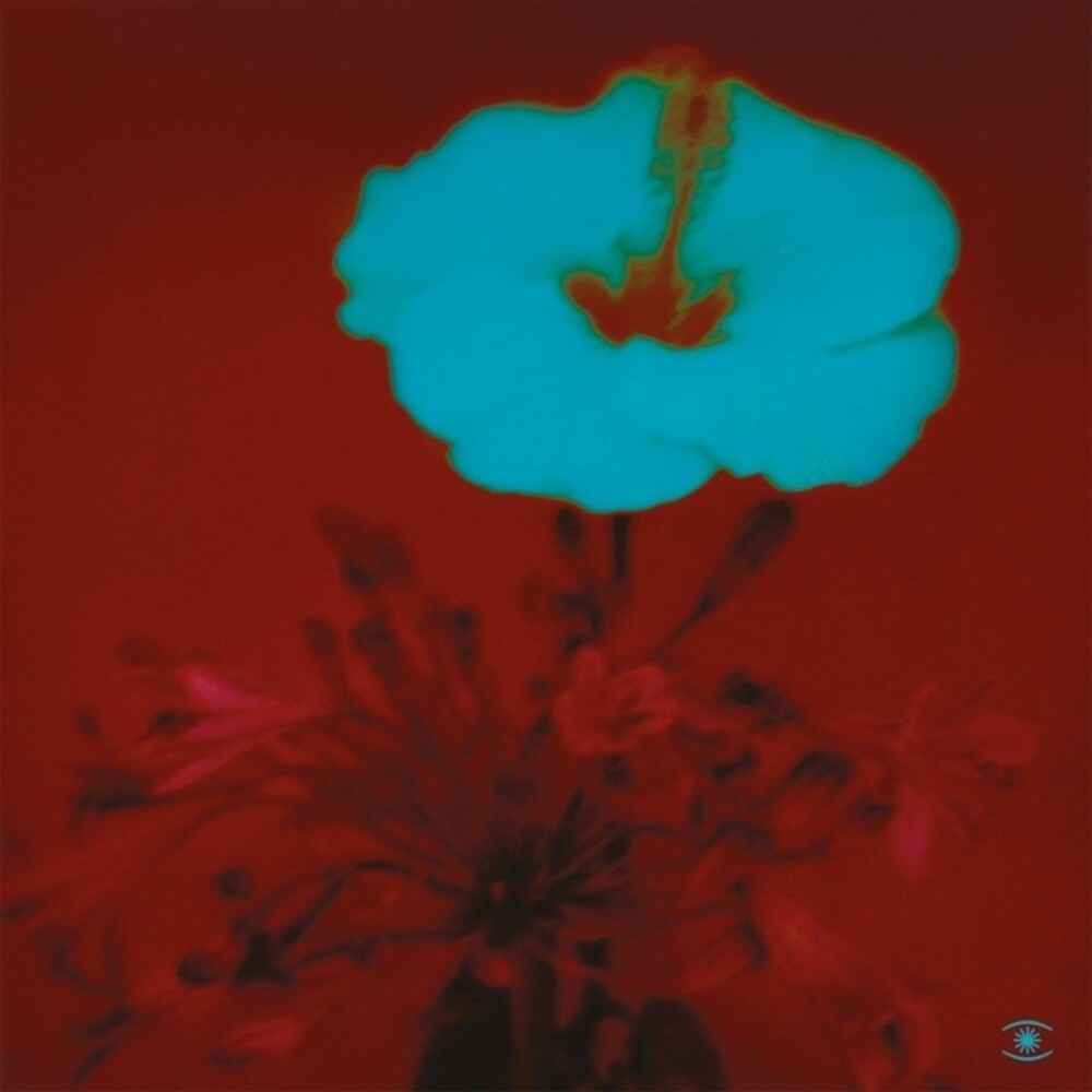 Pre-Order: Sunrise & the Way We Live [2LP]