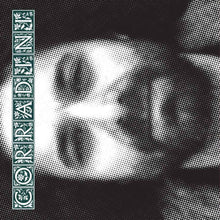Pre-Order: The Best Head In Showbiz [LP]
