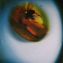 Pre-Order: Traditional Noise [Translucent Fly Green]