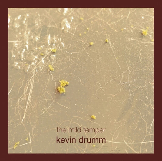 the album cover for Kevin Drumm - Mild Temper (Box)