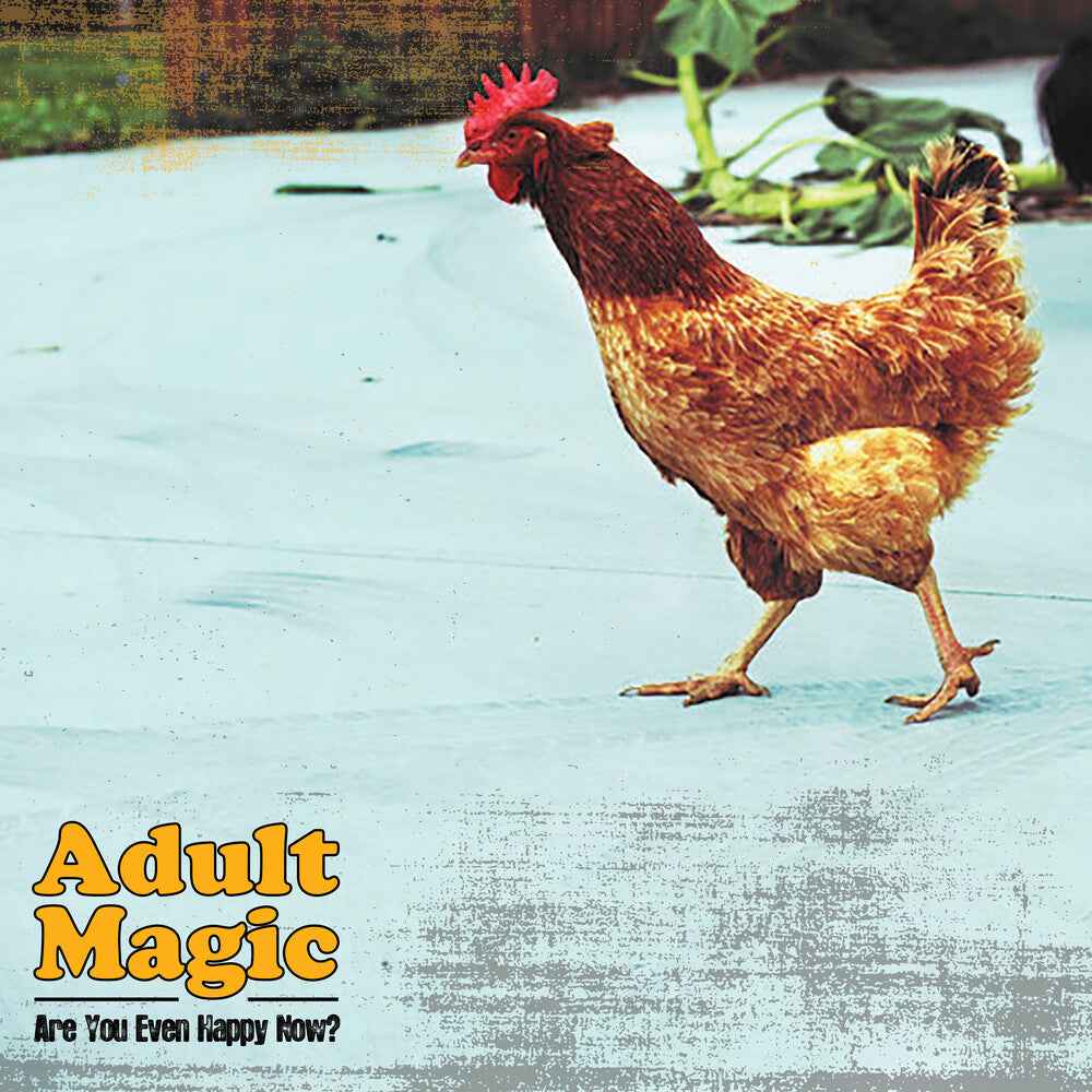 Pre-Order: Are You Even Happy Now [LP]