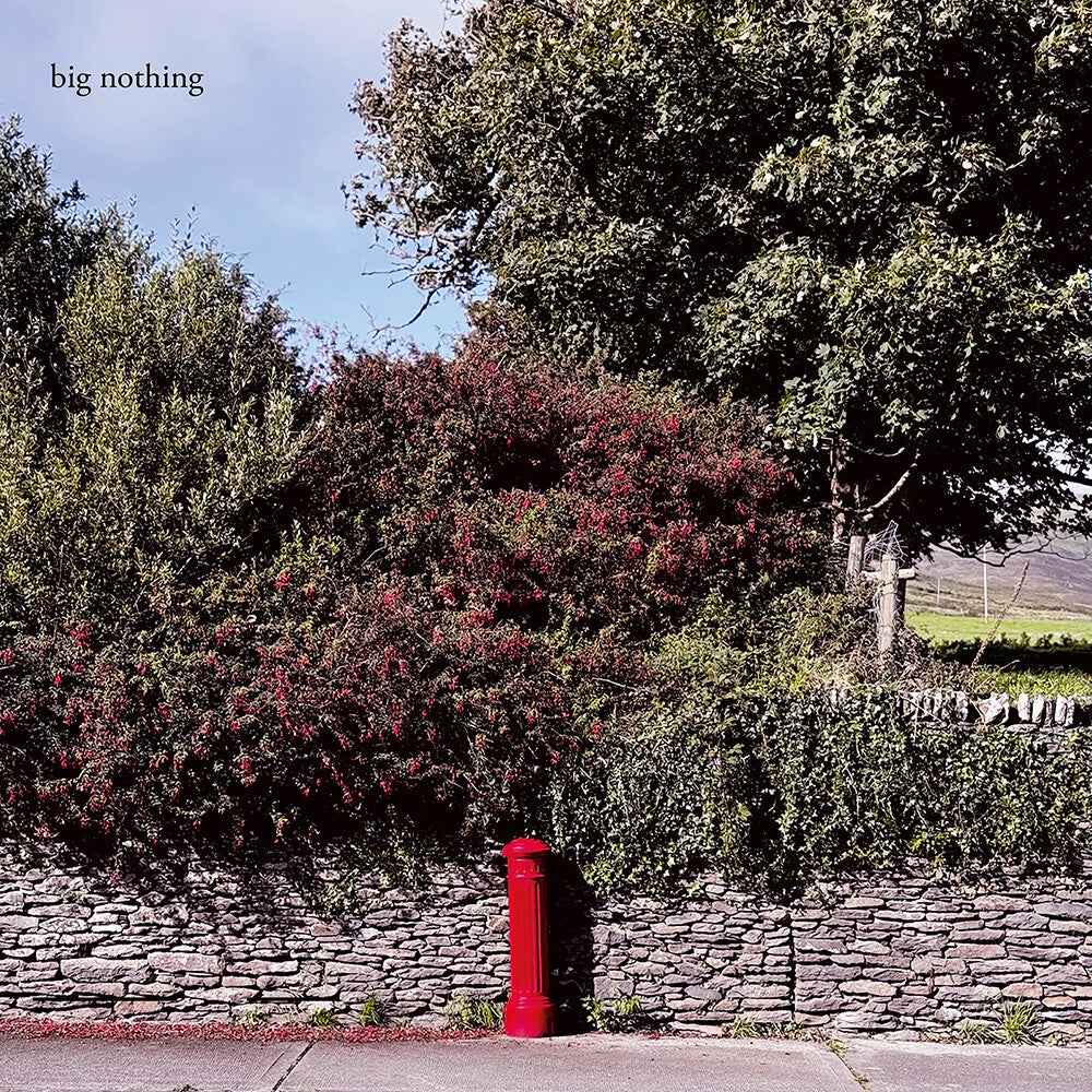 Pre-Order: Big Nothing [LP]