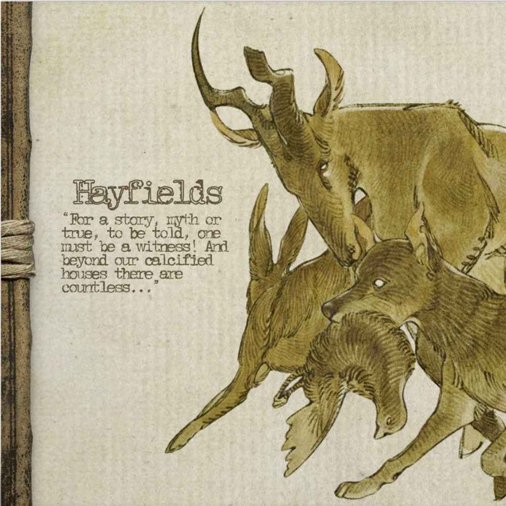 Pre-Order: Hayfields [12" Vinyl]
