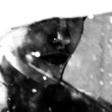 the album cover for Purgate - Leavings