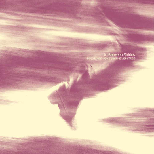 Pre-Order: In Between Strides [Digipak]