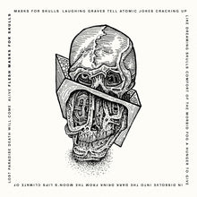 the album cover for Scorpion Milk - Flesh Masks For Skulls