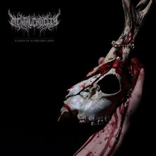 the album cover for Mental Cruelty - Echoes Of A Forlorn Land [With Booklet] (Jewl)