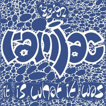 the album cover for Ramjac Corporation - 88-92 It Is What It Was