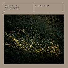 the album cover for Camerata Figarella - Canta In Cumpagnia