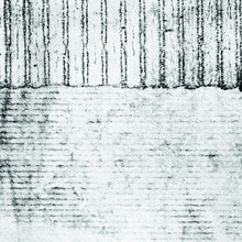 the album cover for Coh - Iron