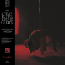 the album cover for Knocked Loose - Tear In The Fabric Of Life (Brwn) [Colored Vinyl]