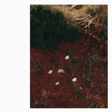 the album cover for Andrew Tuttle  / Darren Cross - At/Dc