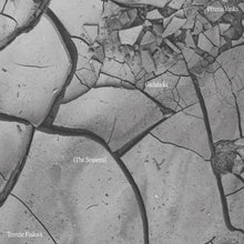 the album cover for Terezie Fialova - Peteris Vasks: Gadalaiki (The Seasons) - Terezie