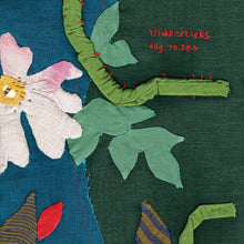 the album cover for Tindersticks - Dog Rose