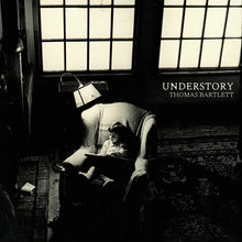 the album cover for Thomas Bartlett - Understory