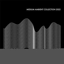 Medium Ambient Collection 2022 (2LP)