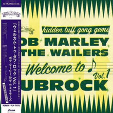 Bob & The Wailers Marley - Welcome To Dubrock - LP Vinyl