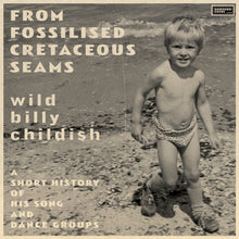 Billy Childish - From Fossilised Cretaceous Seams: A Short History Of His Song & Dance Groups (2LP)