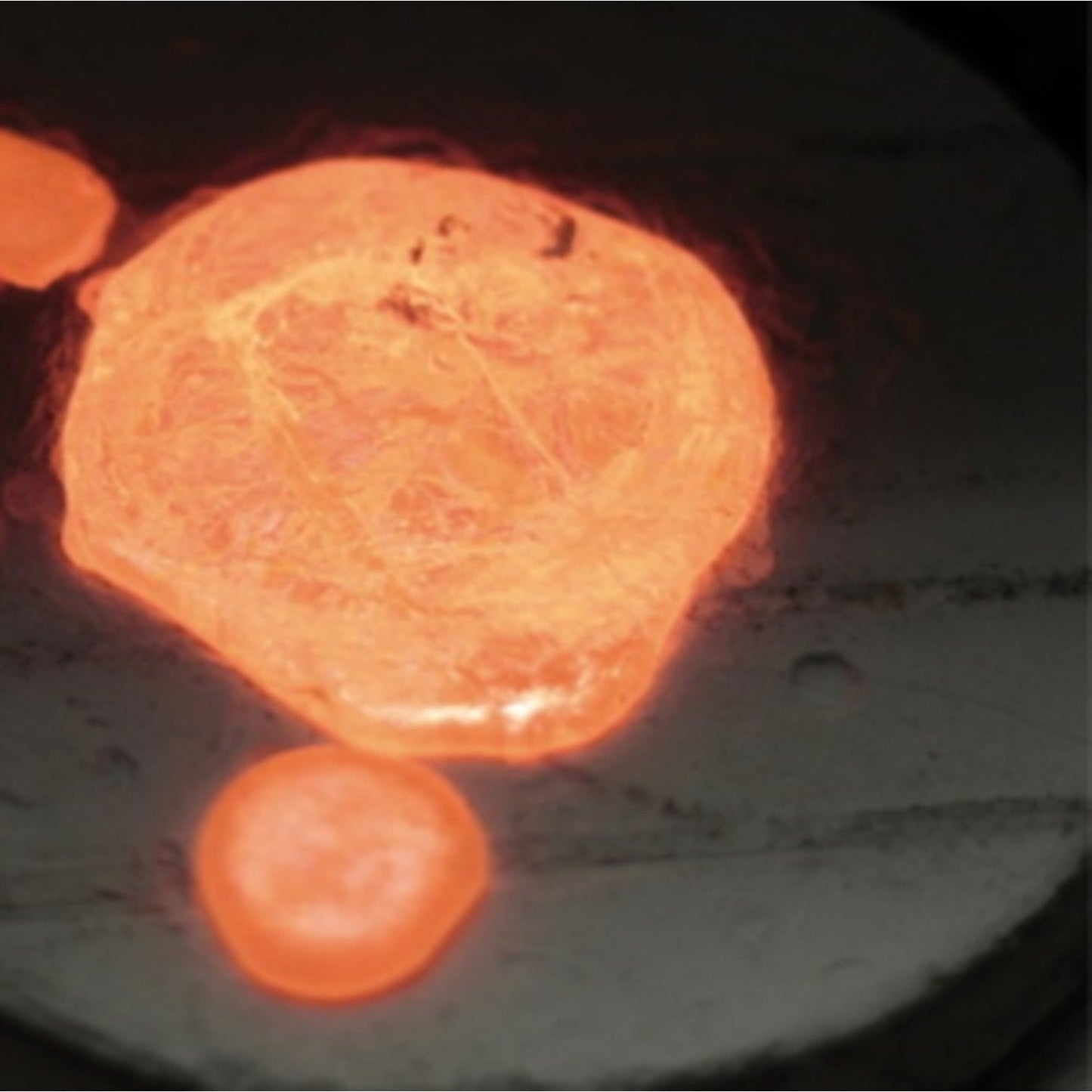 Plasma (2LP)