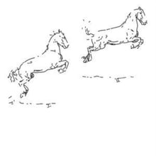 Leo Hofmann - Kapriole - LP Vinyl