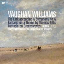 Tasmin Little - Vaughan Williams: Lark Ascending Sym 6 Fantasia (2LP)