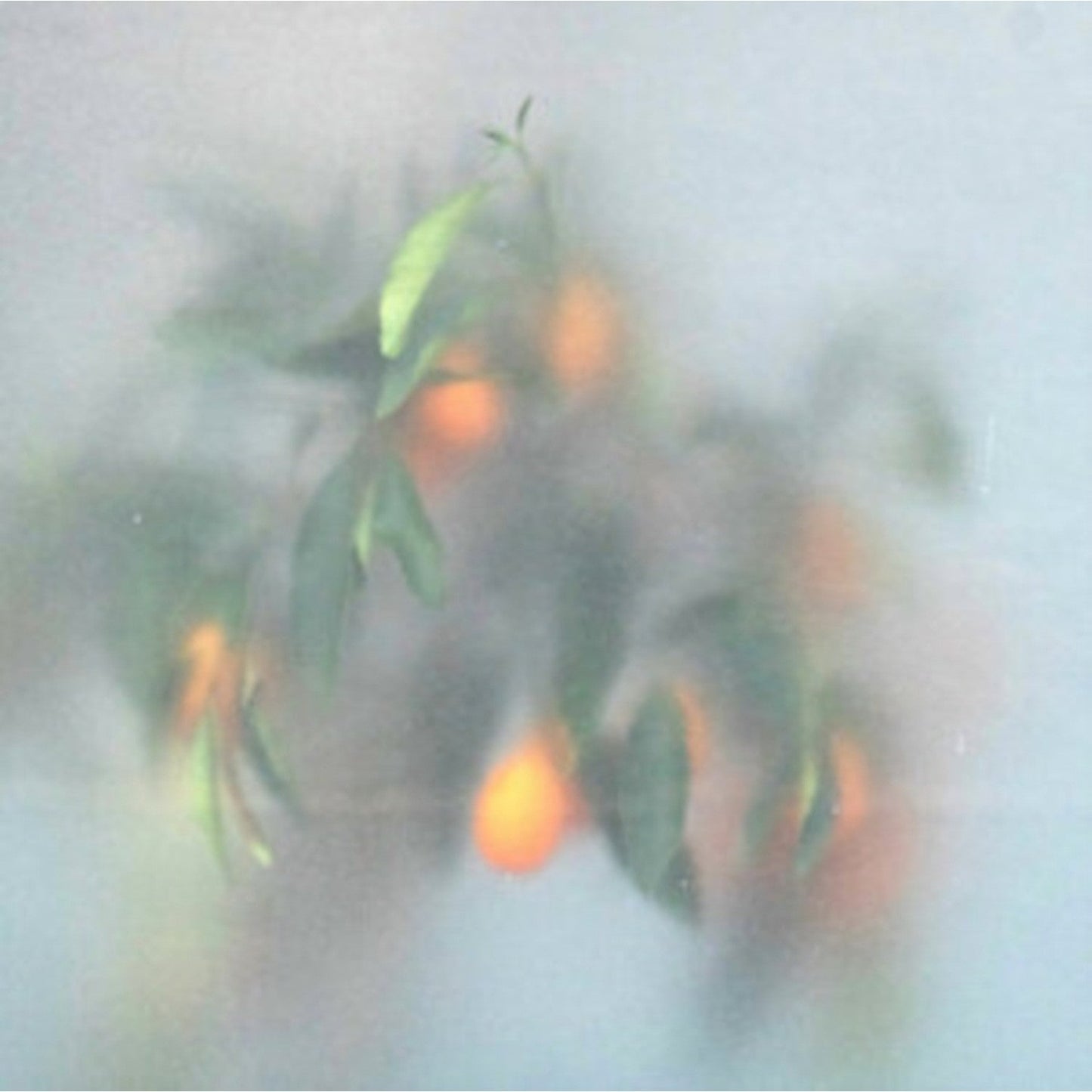 Secret Garden (Ltd/Green LP Vinyl)