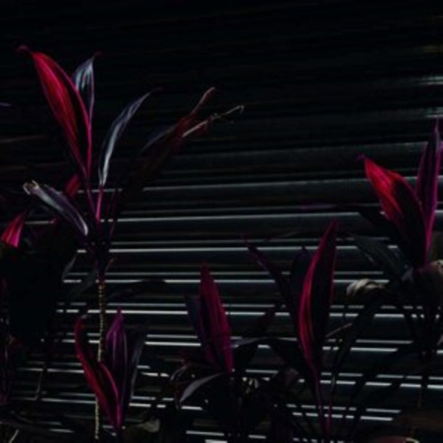 Fine Place - This New Heaven - LP Vinyl