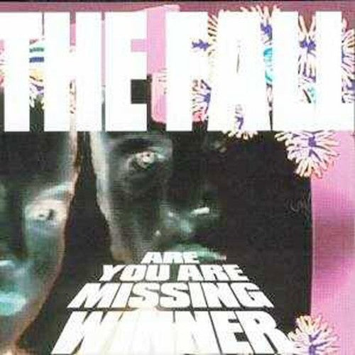 The Fall - Are You Are Next Winner? [CD]
