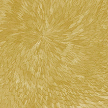 Pjev / Kit Downes / Hayden Chisholm - Medna Roso - LP Vinyl