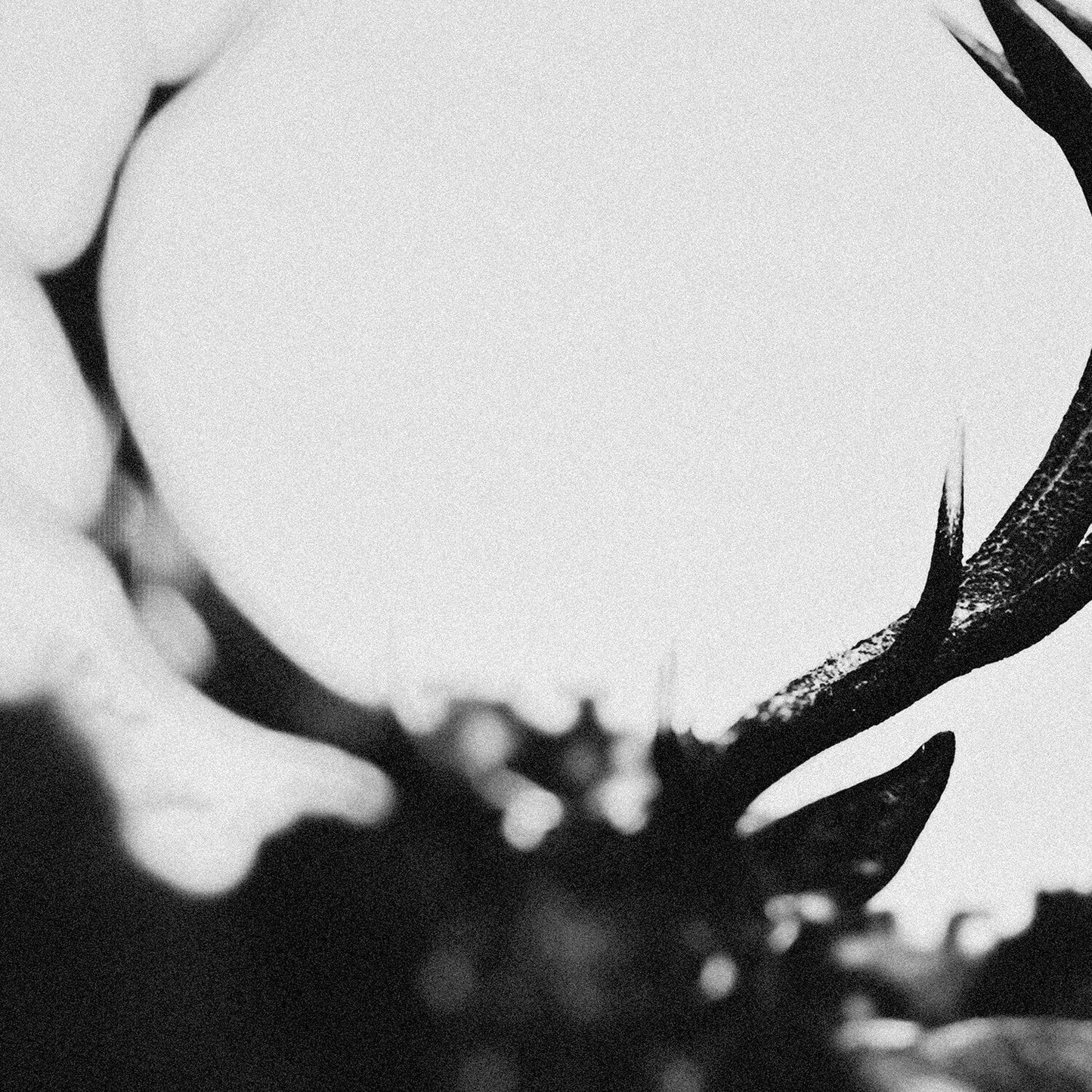 Ihsahn (Orchestral Version) (Clear W/ Black Smoke Vinyl/2LP)
