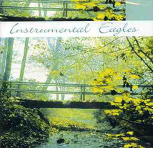 the album cover for Instrumental Eagles - Instrumental Eagles