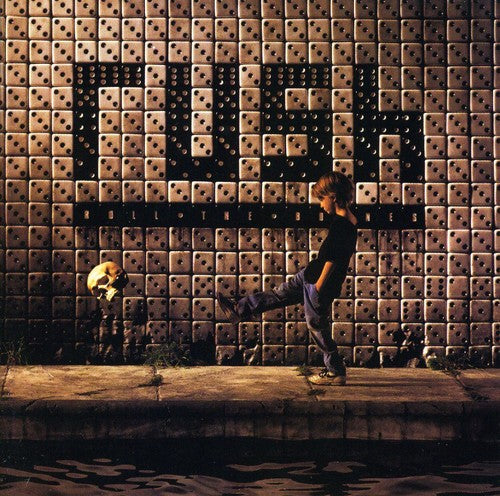 the album cover for Rush - Roll the Bones