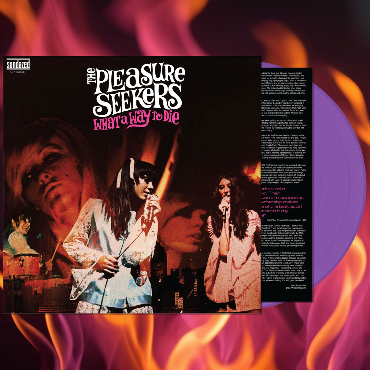 Pleasure Seekers, The - What A Way To Die [CD]
