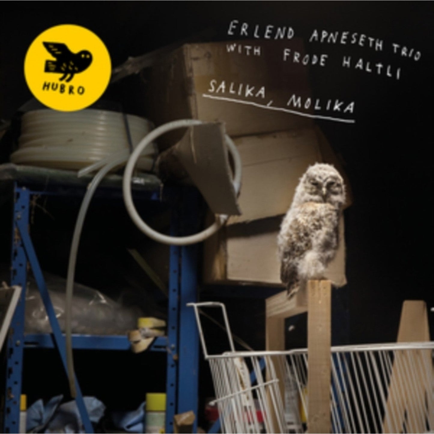 Salika, Molika