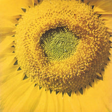 Marcos Valle - Girassol - 7 Inch Vinyl