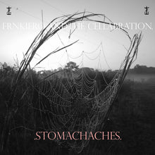 Frnkiero & The Cellabration - Stomachaches [LP] Vinyl Record